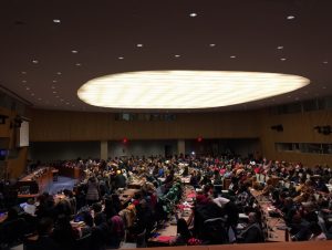 FN, CSW62 plenum