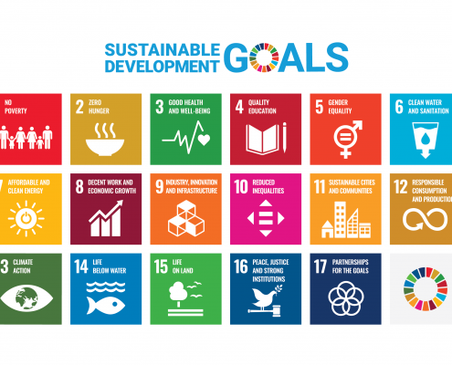 The Sustainable Development Goals (SDGs)