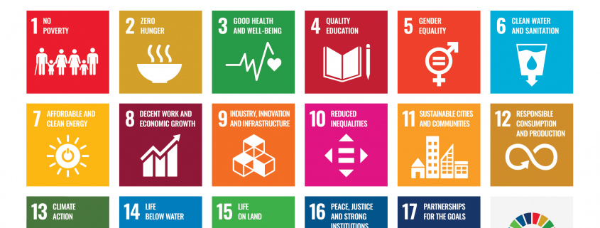 The Sustainable Development Goals (SDGs)